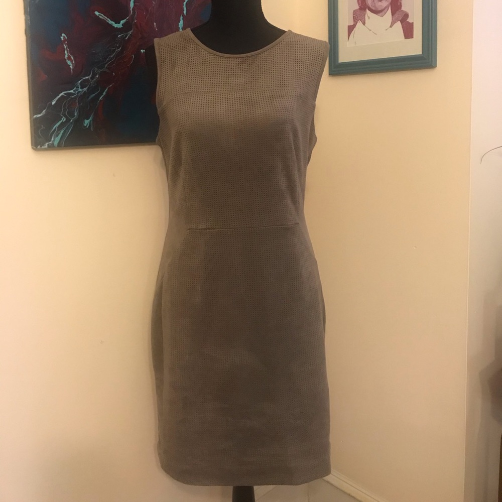 Greylin Earth Tone Dress